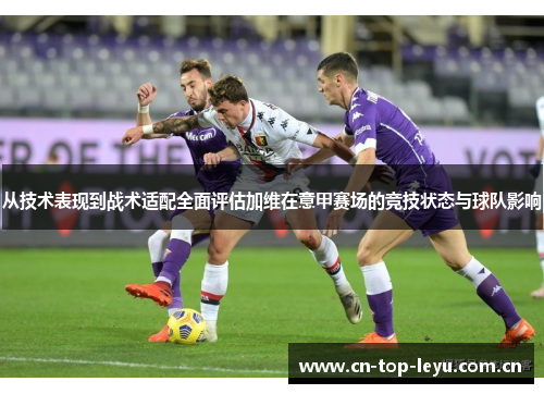 从技术表现到战术适配全面评估加维在意甲赛场的竞技状态与球队影响