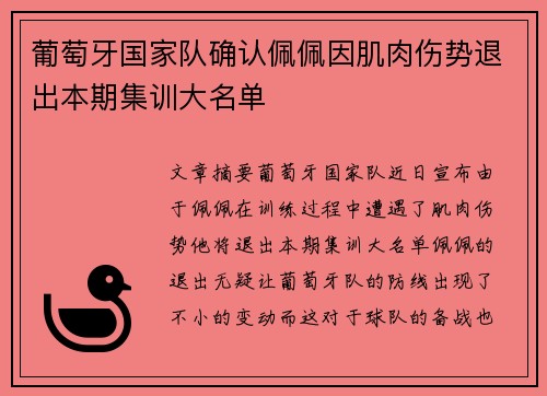 葡萄牙国家队确认佩佩因肌肉伤势退出本期集训大名单 葡萄牙国家队确认佩佩因肌肉伤势退出本期集训大名单
